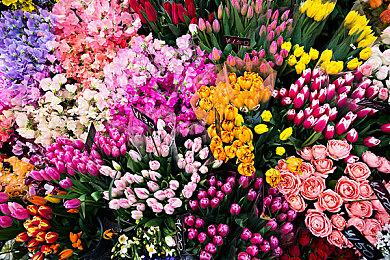 国产武侠《猿公剑》招人 想开发单机的人才快来