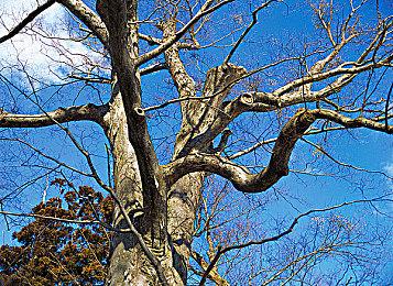 《逃脱学院》DLC“逃离反逃岛”11月11日发售